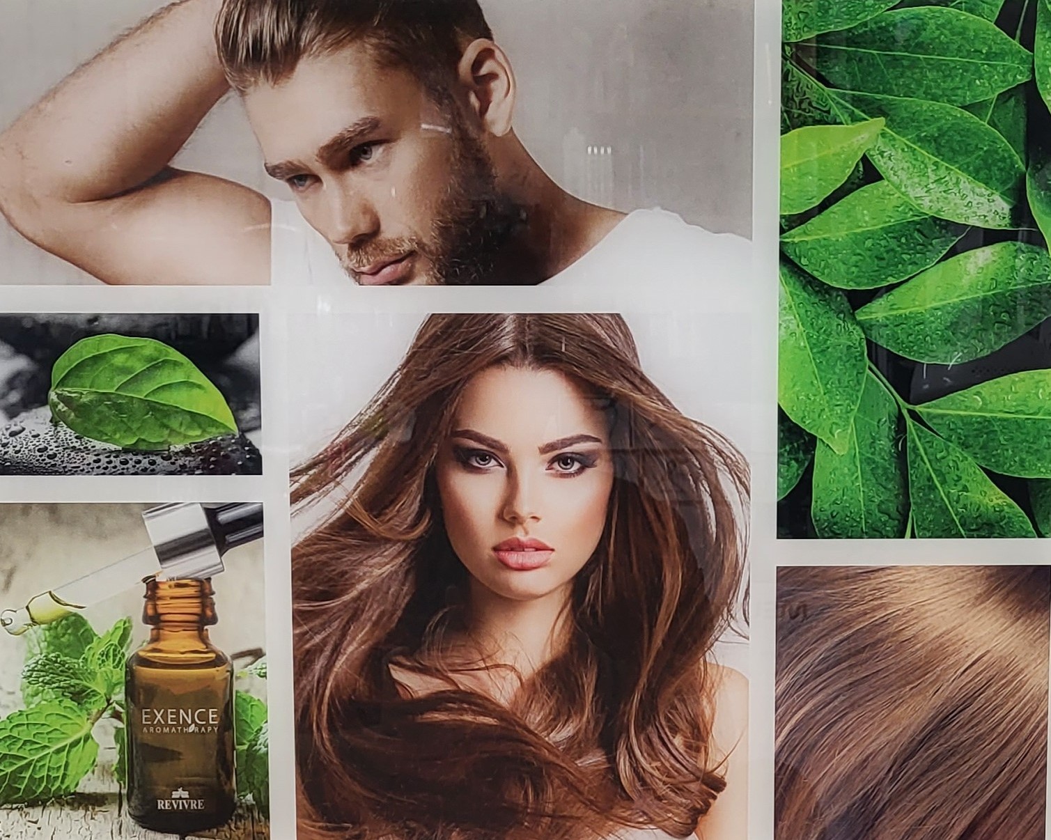 Vendita shampoo anticaduta a Fermo